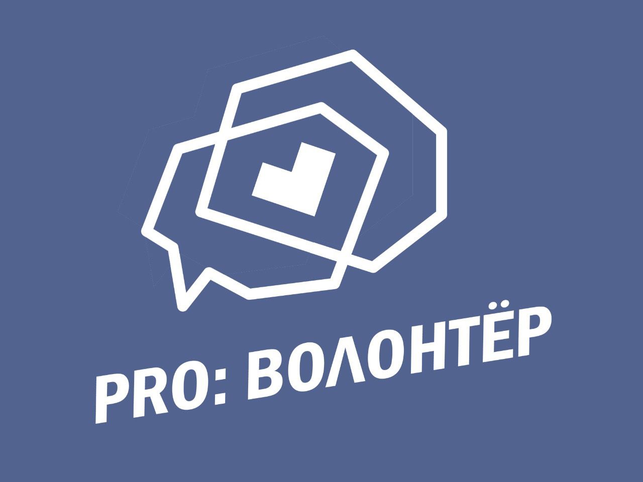 «Pro: волонтёр» в Перми